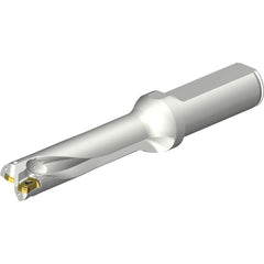 Sandvik Coromant - Indexable Insert Drills; Drill Style: DS20 ; Drill Diameter (mm): 16.50 ; Maximum Drill Depth (mm): 66.47 ; Shank Type: Straight ; Shank Diameter (mm): 20.0000 ; Cutting Direction: Right Hand - Exact Tool & Supply