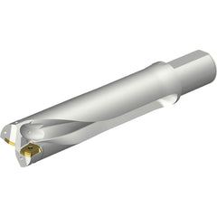 Sandvik Coromant - Indexable Insert Drills; Drill Style: DS20 ; Drill Diameter (mm): 61.00 ; Maximum Drill Depth (mm): 245.59 ; Shank Type: Straight ; Shank Diameter (mm): 50.0000 ; Cutting Direction: Right Hand - Exact Tool & Supply