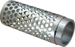 Dixon Valve & Coupling - 2" Hose, Round Hole-Long Body Strainer - Plated Steel - Exact Tool & Supply