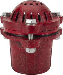 Value Collection - 2" Hose, Foot Valve - Cast Iron - Exact Tool & Supply