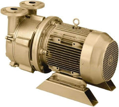 DEKKER Vacuum Technologies - 29 Hg Max, 2-1/2" ANSI 150# RF Flanged Inlet & Discharge, Single Stage Liquid Ring Vaccum Pump - 150 CFM, 10 hp, 316 Stainless Steel Housing, 316 Stainless Steel Impeller, 1,750 RPM, 230/460 Volts - Exact Tool & Supply