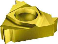 Sandvik Coromant - 166 Internal Right Hand Metric Laydown Threading Insert - Grade 1020, TiN Coated Carbide, 6.35mm Inscribed Circle - Exact Tool & Supply