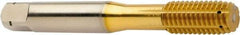 Sandvik Coromant - 2BX Form Thread Forming Tap - Powdered Metal High Speed Steel, 12mm Thread Length - Exact Tool & Supply