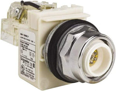Schneider Electric - 120 VAC LED Indicating Light - Screw Clamp Connector - Exact Tool & Supply