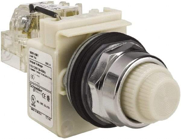 Schneider Electric - 120 VAC White Lens Indicating Light - Screw Clamp Connector - Exact Tool & Supply