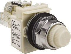 Schneider Electric - 120 VAC White Lens Indicating Light - Screw Clamp Connector - Exact Tool & Supply