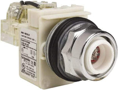 Schneider Electric - 120 VAC LED Indicating Light - Screw Clamp Connector - Exact Tool & Supply