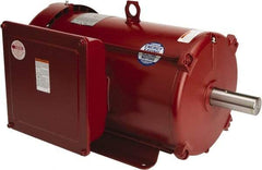Leeson - 10 Max hp, 1,800 Max RPM, Electric AC DC Motor - 230 V Input, Single Phase, 215T Frame, 1-3/8" Shaft Diam, Rigid Base Mount, TEFC Enclosure - Exact Tool & Supply
