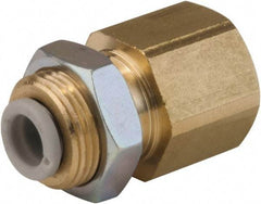 SMC PNEUMATICS - 3.2mm OD, 1/4 BSPT, Brass/Polybutylene Push-to-Connect Female Bulkhead - 145 Max psi - Exact Tool & Supply