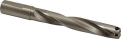 Guhring - 0.925 to 0.944" Diam, 124.5mm Max Depth, 25.4mm Shank Diam, 221mm OAL, Replaceable Tip Drill - HT 800 WP Insert, Series 4108 - Exact Tool & Supply