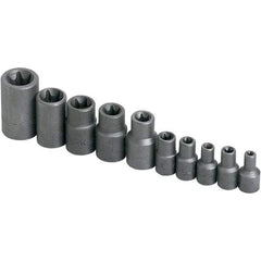 SK - 1/4" Drive Standard Socket Set - E4 to E18 Torx, Torx Measurement Standard - Exact Tool & Supply