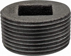 Value Collection - Class 150, 1-1/4" Black Pipe Countersunk Plug - Threaded, Malleable Iron - Exact Tool & Supply