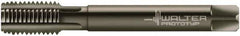 Walter-Prototyp - 1-1/4 - 11" BSPP, 6 Flutes, Modified Bottoming Chamfer, Nitride/Oxide Coated, Powdered Metal British Standard Pipe Tap - 1.2598" Shank Diam, 0.9449" Square Size, Series E24364 - Exact Tool & Supply