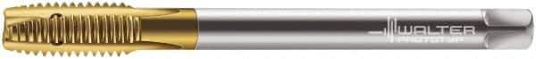 Walter-Prototyp - M20x2.50 Metric, 3 Flute, TiN Finish, Powdered Metal Spiral Point Tap - Plug Chamfer, Right Hand Thread, 140mm OAL, 30mm Thread Length, 16mm Shank Diam, 6H Class of Fit, Series 7026345 - Exact Tool & Supply
