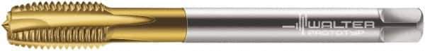 Walter-Prototyp - M16x2.00 Metric, 3 Flute, TiN Finish, Powdered Metal Spiral Point Tap - Plug Chamfer, Right Hand Thread, 110mm OAL, 25mm Thread Length, 12mm Shank Diam, 6H Class of Fit, Series 7026365 - Exact Tool & Supply