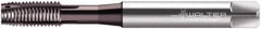 Walter-Prototyp - M10x1.50 Metric, 3 Flute, Hardlube Finish, Powdered Metal Spiral Point Tap - Plug Chamfer, Right Hand Thread, 100mm OAL, 20mm Thread Length, 10mm Shank Diam, 6HX Class of Fit, Series EP2021342 - Exact Tool & Supply