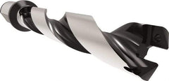 Allied Machine and Engineering - Series 29, 29 to 31.99mm Diam, 32mm Diam Straight Shank with Flange, Helical Flute Spade Drill - 159.9mm Max Depth, 200.1mm Body Length, 260.1mm OAL, Standard Length, Through Coolant - Exact Tool & Supply