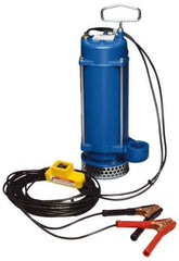 Warren Rupp - 1/3 hp, 12 VDC Amp Rating, 12 VDC Volts, Nonautomatic Operation, Dewatering Pump - Aluminum Housing - Exact Tool & Supply