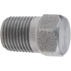 Value Collection - Size 1/8", Class 3,000, Forged Carbon Steel Black Pipe Hex Plug - NPT End Connection - Exact Tool & Supply