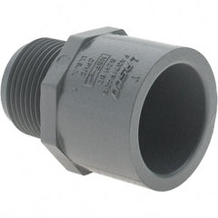 Value Collection - 1" CPVC Plastic Pipe Male Adapter - MIPT x Slip End Connections - Exact Tool & Supply