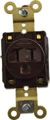Hubbell Wiring Device-Kellems - 125 VAC, 15 Amp, 5-15R NEMA Configuration, Brown, Specification Grade, Self Grounding Single Receptacle - 1 Phase, 2 Poles, 3 Wire, Flush Mount, Corrosion, Heat and Impact Resistant - Exact Tool & Supply