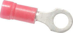 Thomas & Betts - 22-16 AWG Partially Insulated Crimp Connection D Shaped Ring Terminal - #10 Stud, 0.97" OAL x 0.31" Wide, Tin Plated Copper Contact - Exact Tool & Supply