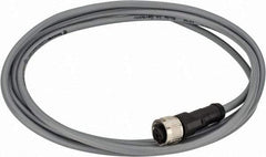 Telemecanique Sensors - 3 Amp, M12 4 Pin Female Straight Cordset Sensor and Receptacle - 250 VAC, 300 VDC, 2m Cable Length, IP67 Ingress Rating - Exact Tool & Supply