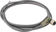 Telemecanique Sensors - 3 Amp, M12 3 Pin Female Straight Cordset Sensor and Receptacle - 30 VAC, 36 VDC, 2m Cable Length, IP67 Ingress Rating - Exact Tool & Supply