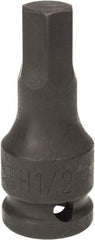 Paramount - 1/2" Drive, 1/2" Impact Hex Bit Socket - 1-3/8" Bit Length, 2-5/16" OAL - Exact Tool & Supply