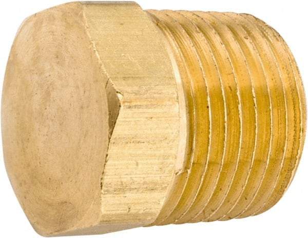 ANDERSON METALS - 1/2-14 Male Thread, Lead Free Brass Industrial Pipe Hex Head Plug - MNPT, 1,000 psi - Exact Tool & Supply