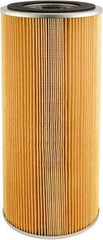 Hastings - Automotive Hydraulic Filter - AC Delco PF218, Allis Chalmers 40494962, Donaldson P551336, Fram FH58PL - Fram FH58PL, GMC 5578395, Hastings PT119, Purolator P259, Wix CW58MP - Exact Tool & Supply