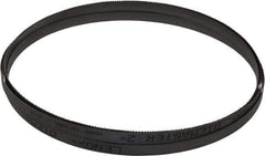 Lenox - 10 to 14 TPI, 13' 3" Long x 1/2" Wide x 0.025" Thick, Welded Band Saw Blade - Bi-Metal, Toothed Edge, Modified Raker Tooth Set, Flexible Back, Contour Cutting - Exact Tool & Supply