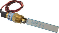 Thomas Products Ltd. - 850 psi, Brass Housing, Adjustable Paddle Flow Switch - 1 NPT Inch Thread Size, Model 2400 - Exact Tool & Supply