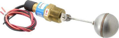 Thomas Products Ltd. - 1" Thread, 900 Max psi, 300°F Max, Liquid Level Side Mounted Float Switches - Brass Stem - Exact Tool & Supply