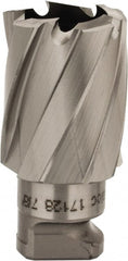 Hougen - 7/8" Diam x 3/4" Deep Cobalt Annular Cutter - Exact Tool & Supply
