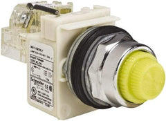 Schneider Electric - 120 VAC Yellow Lens LED Indicating Light - Screw Clamp Connector - Exact Tool & Supply