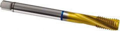 Guhring - M8x1.00 Metric Fine 3 Flute 6H Modified Bottoming Spiral Flute Tap - Cobalt, TiN Finish, 90mm OAL, Right Hand Flute, Right Hand Thread, D4/D5, Series 2897 - Exact Tool & Supply