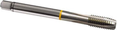Guhring - M27x3.00 Metric, 4 Flute, Bright Finish, Cobalt Spiral Point Tap - Plug Chamfer, Right Hand Thread, 160mm OAL, 6H Class of Fit, Series 815 - Exact Tool & Supply