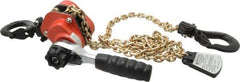 CM - 1,100 Lb Lifting Capacity, 5' Lift Height, Mini-Ratchet Lever Hoist - Made from Chain, 56 Lb Avg Pull to Lift Rated Load, 1 Chain - Exact Tool & Supply