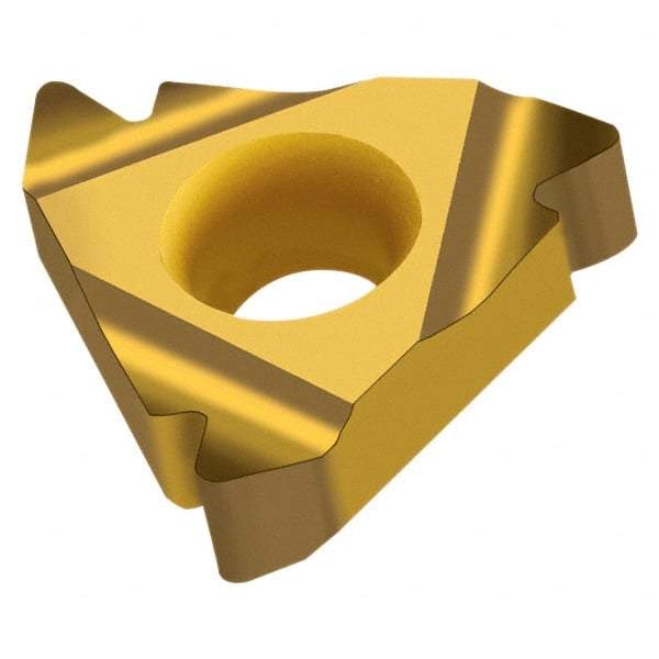 Walter - NTS-ER16 External Right Hand ISO Laydown Threading Insert - Grade WXP20, TiN Coated Carbide, 9.53mm Inscribed Circle - Exact Tool & Supply