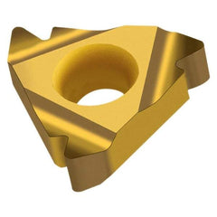 Walter - NTS-ER16 External Right Hand ISO Laydown Threading Insert - Grade WXP20, TiN Coated Carbide, 9.53mm Inscribed Circle - Exact Tool & Supply
