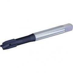 VTSPO9719 3/4-16 2B 3F PLUG CH - Exact Tool & Supply