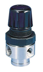 Parker - 1/2 NPT Port, 80 CFM, Stainless Steel Standard Regulator - 0 to 125 psi Range, 300 Max psi Supply Pressure, 1/4" Gauge Port Thread, 2.43" Wide x 4.97" High - Exact Tool & Supply