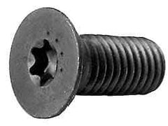 Camcar - 3/8-16 UNC Torx Plus Drive, 82° Flat Screw - Alloy Steel, Black Oxide Finish, Fully Threaded, 1" OAL - Exact Tool & Supply