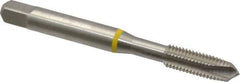Guhring - 1/4-28 UNF, 3 Flute, Bright Finish, Cobalt Spiral Point Tap - Plug Chamfer, Right Hand Thread, 2-1/2" OAL, 0.63" Thread Length, 0.255" Shank Diam, 2B Class of Fit, Series 3902 - Exact Tool & Supply
