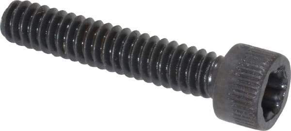 Camcar - #10-24 UNC Torx Plus Drive, Socket Cap Screw - Alloy Steel, Black Oxide Finish, Fully Threaded, 1" Length Under Head - Exact Tool & Supply