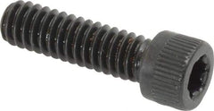 Camcar - 1/4-20 UNC Torx Plus Drive, Socket Cap Screw - Alloy Steel, Black Oxide Finish, Fully Threaded, 7/8" Length Under Head - Exact Tool & Supply