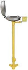 Bradley - Pedestal Mount, Stainless Steel Bowl, Eyewash Station - 1/2" Inlet, 30 psi Flow, 0.4 GPM Flow Rate - Exact Tool & Supply