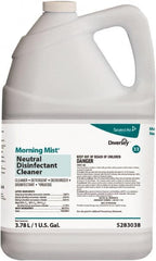 Diversey - Case of (4) 1 Gal Bottles Disinfectant - Exact Tool & Supply