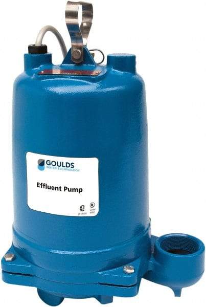 Goulds Pumps - 1/2 hp, 230 VAC Amp Rating, 230 VAC Volts, Single Speed Continuous Duty Operation, Effluent Pump - 1 Phase, Cast Iron Housing - Exact Tool & Supply